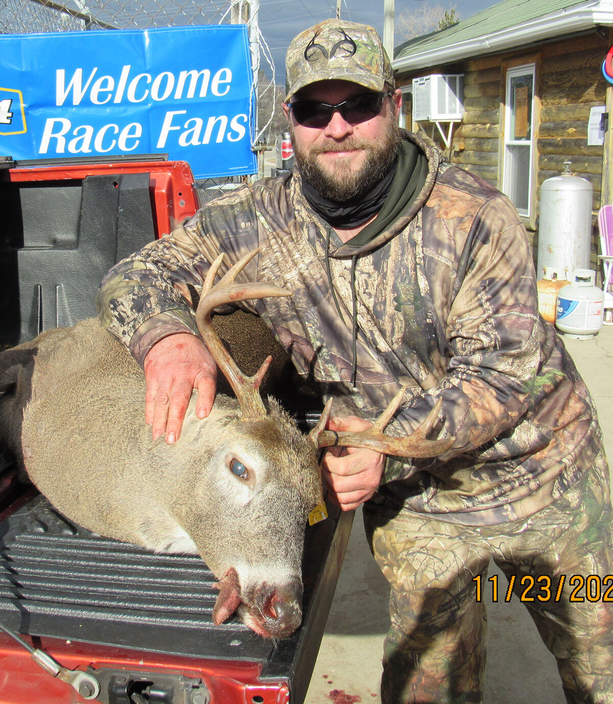 dead deer pic 2